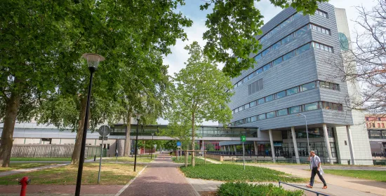 Building of RIMLS