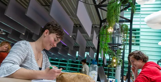 Studenten Natuurkunde