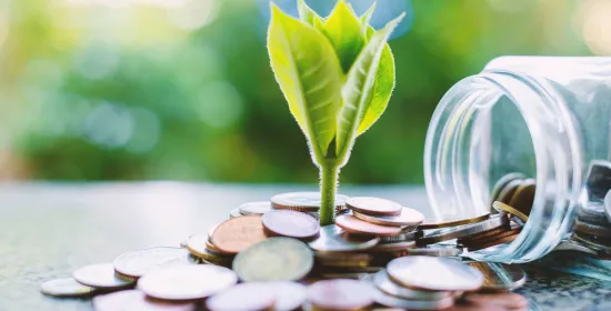 Sustainable Finance
