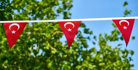 Turkish flags