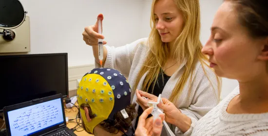 Brain research