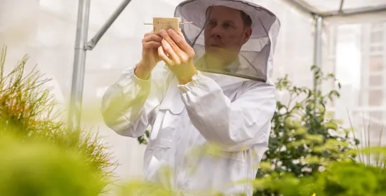 Martijn Agterberg in zijn bijenlab