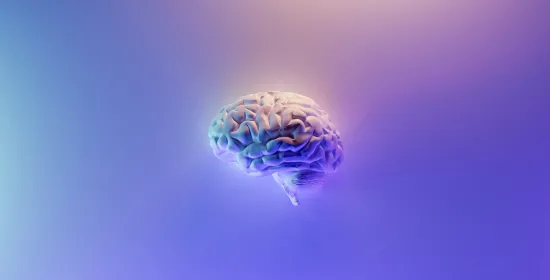 brain 