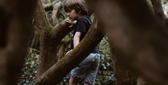 Boy standing on tree branch