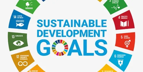 Cirkel Sustainable Development Goals