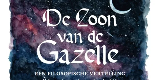 De cover van De Zoon van de Gazelle met daarop een persoon, liggend op een strand onder een sterrenhemel