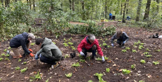 Plantdag Radboud Universiteit