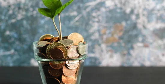 Plant grows out of money