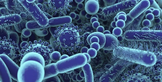 Understanding the gut-brain axis