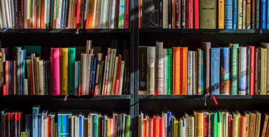 Books in Black Wooden Book Shelf