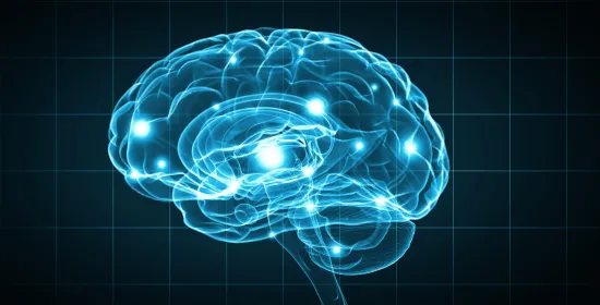 The Future of the Mind in a Digital Society | Lecture and conversation with lawyer and behavioral neuroscientist Emily Murphy and brain scientist Alan Sanfey 