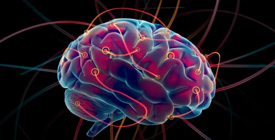 Neuroscience