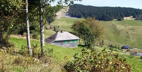 Heideggers hut
