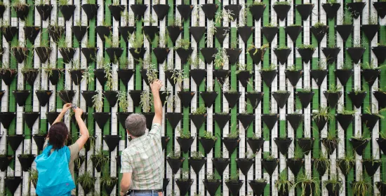 Twee mensen staan voor een muur met planten