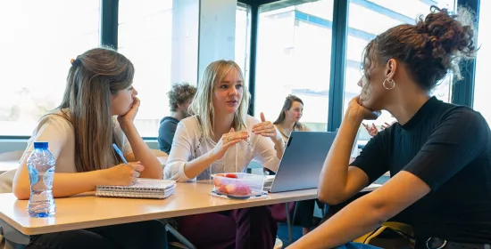 Students discussing in class