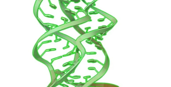 RNA 