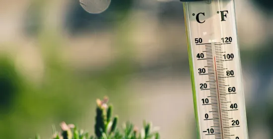 Thermometer zomer