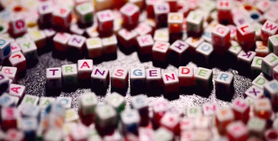 En weer duikt dat frame op van de trans persoon als fraudeur