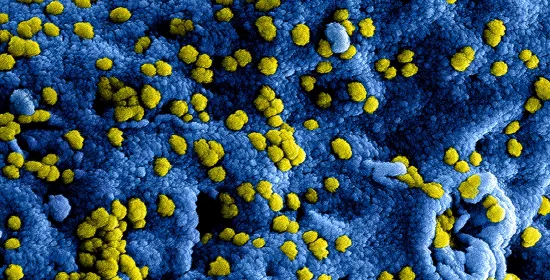 35.000 doden per jaar in Europa door resistente bacteriën en dat neemt toe