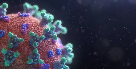 Blootstelling aan kinkhoest verbetert de reactie op een boostervaccin