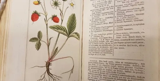 De blik van een bioloog