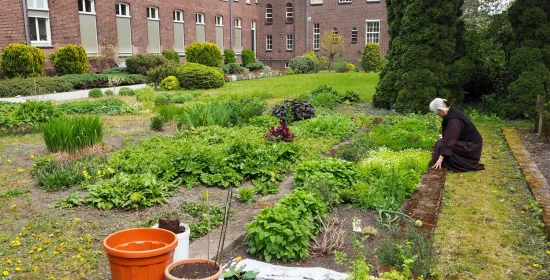 Supporting green parishes and congregations
