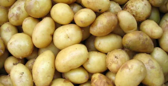 Aardappels en aardappelen: hoe woordopslag onze taalproductie beïnvloedt