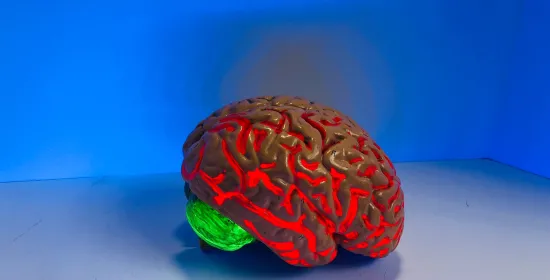 Real-life brain cells attached to a computer show continuous rivalry