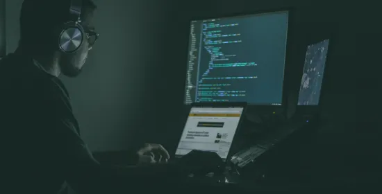 Sleepwet of cyberwet: bescherming of bedreiging?