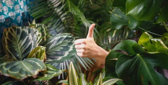 The good, the bad and the ugly of praise