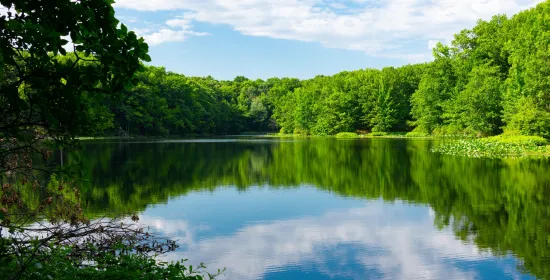 Warmer lakes harbor slower methane consumers