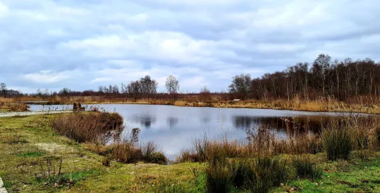 Wat beweegt de groene vrijwilliger?