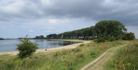 Ooijpolder wordt proeftuin voor natuurherstellers