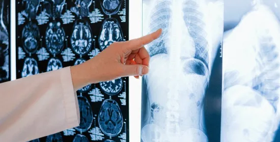 Brain basics: Hoe je brein je lichaam bestuurt zodat jij het niet hoeft te doen