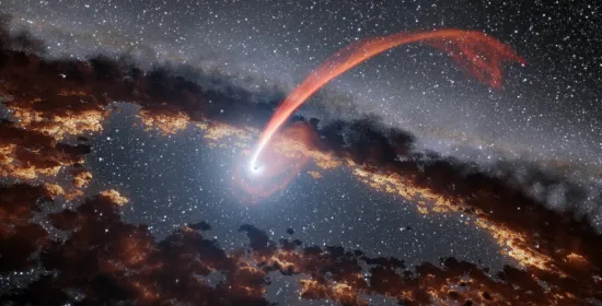 What it looks like when a black hole snacks on a star