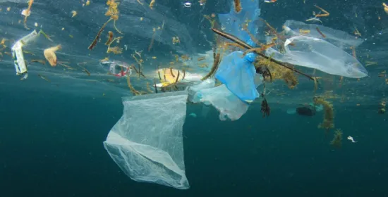 Deze onderzoeker maakt kunst van plastic soep