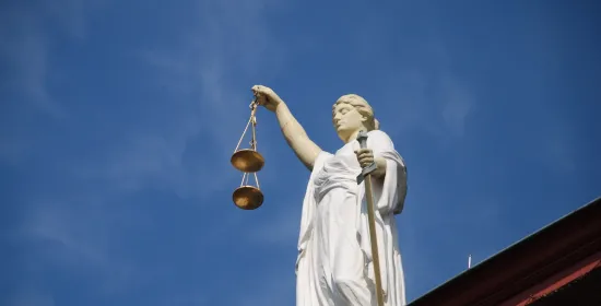 Politieke rechters: politiek frame of werkelijkheid?
