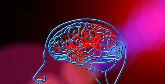 Brain blood flow and brain functions are related - but how?