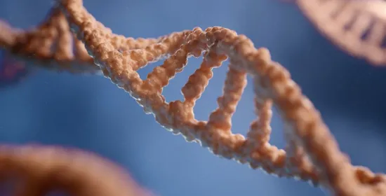 Het Nijmegen Breakage Syndrome is in Nijmegen al lang vergeten