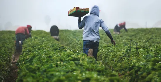 Mensonwaardige omstandigheden rondom arbeidsmigranten