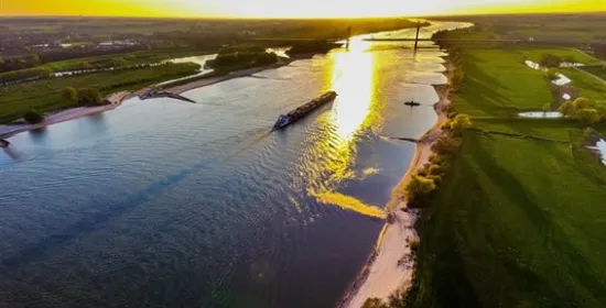 Ecosysteem heeft te lijden onder historisch lage Waal
