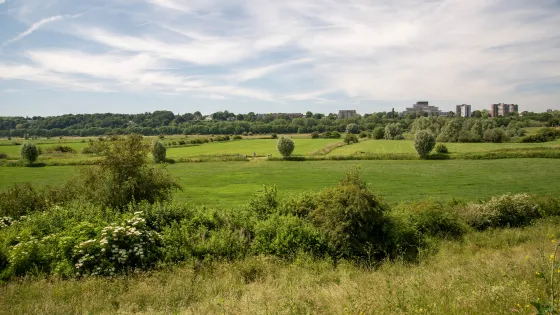 De Ooijpolder