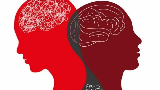 Afbeelding bij project Werken onder druk? Professionele identiteitsspanningen van leraren gedurende hun loopbaan: impact op burnout en welzijn