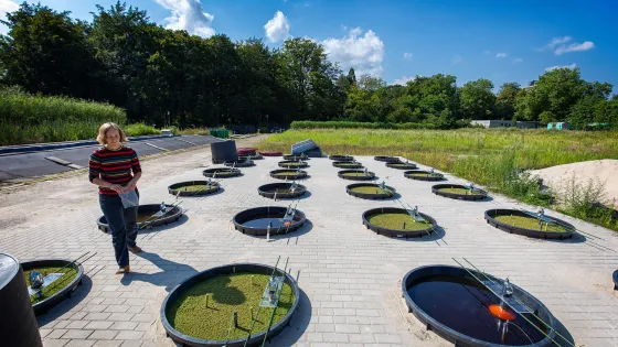 Aquatic Ecology