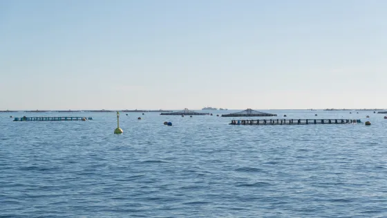 Aquaculture