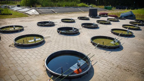 Aquatische ecologie - testvijvers op campus Radboud Universiteit