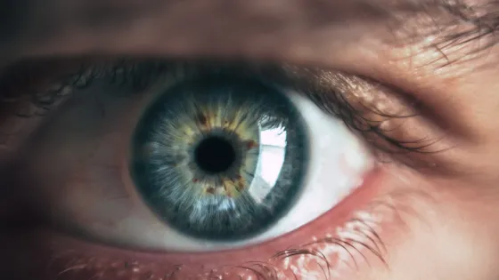 Zoomed in picture of an eye