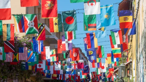 Different flags hanging across the street