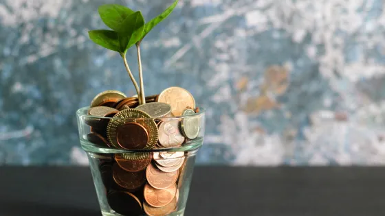 Plant grows out of money
