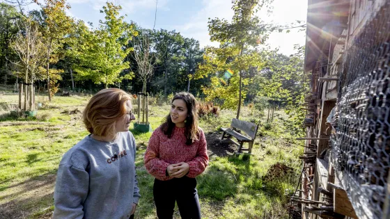 Honoursstudenten met elkaar in overleg